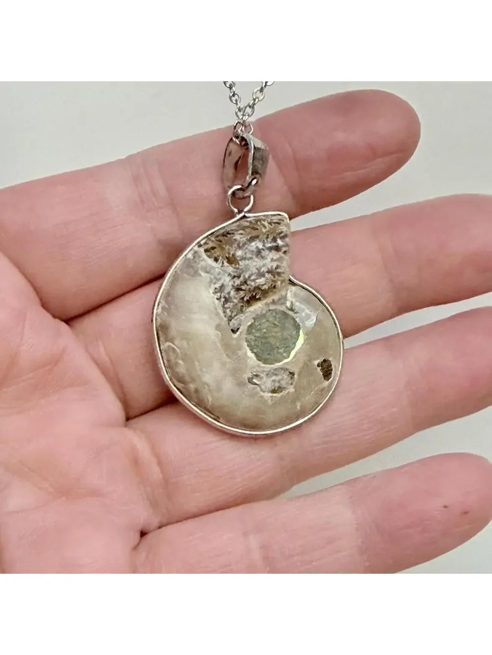 Ammonite Seashell Fossil Pendant Necklace - Picture 4 of 5